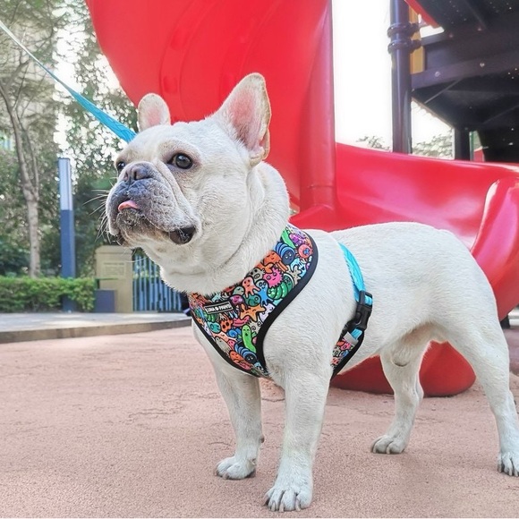 🐶 Luna Paws Reversible 2-in-1 Safety Harness for Dog/Puppy Under the Sea Print - Picture 3 of 8